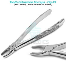 Dental Tooth Extraction