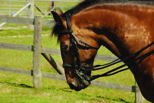 HERITAGE ENGLISH LEATHER