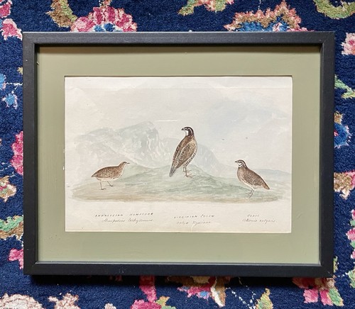 Antique original watercolour - original,