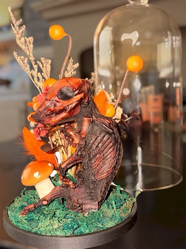 Bacon seed taxidermy piglet - piglet, in
