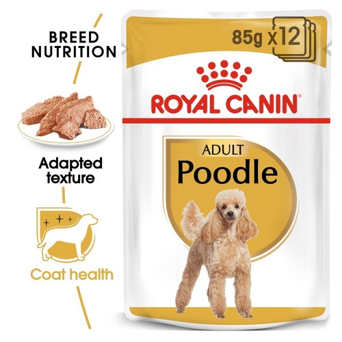 Royal canin poodle wet adult - poodle,