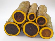 One Green Laburnum woodturning