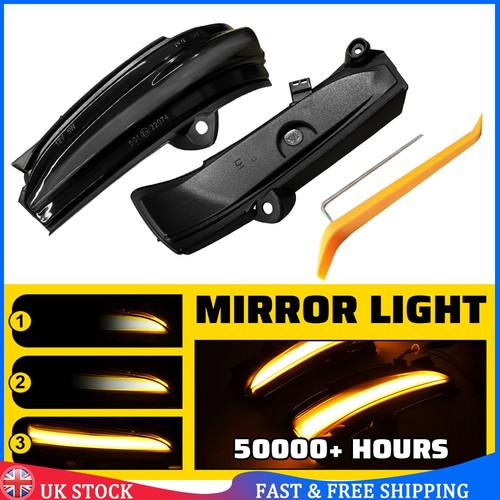 Dynamic led wing mirror - led,