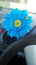 Single sky blue - single, daisy