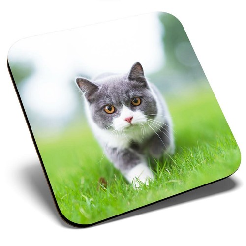 Square single coaster - square,