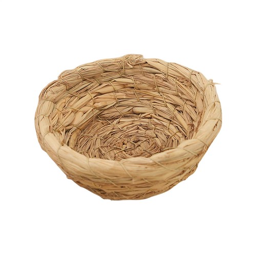 Pigeon breeding nest bird - pigeon,