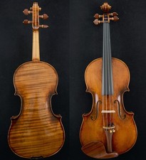 Stradivari  Violin 1-PC Back
