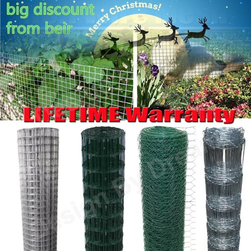 Green pvc coated wire netting - wire,