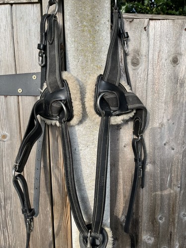 Shires black cob size point - cob,