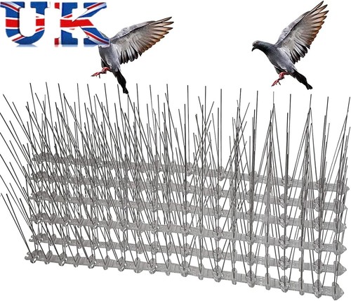 20pack 10m pigeon bird spikes - 20pack=10m,