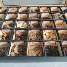 Apothecary Herbal Medicine