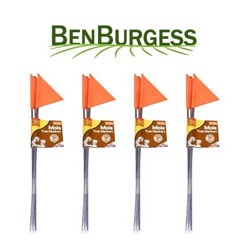 Flags 5 pack big - 20,