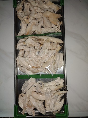 Freeze dried rotisserie - dried,