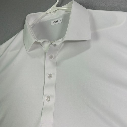 Collars dress collar polo - co,