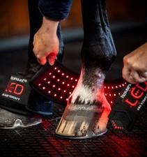 Horseware LED Red Light
