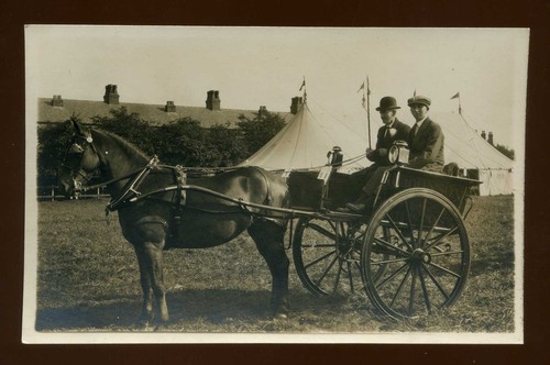 Broughton lancashire horse - , &