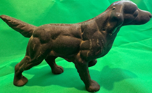 Labrador retriever dog - retriever,