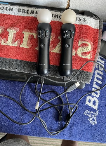 Sony motion wand controllers - motion,