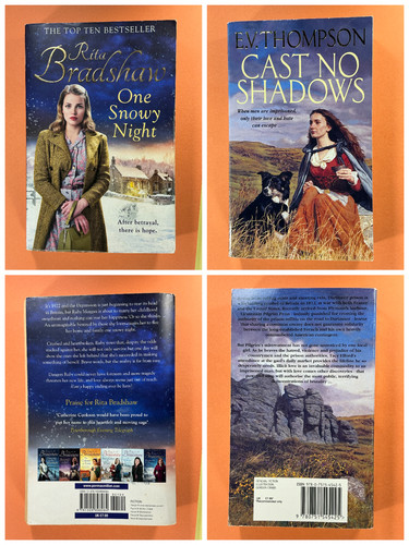 Historical fiction book bundle - fiction,