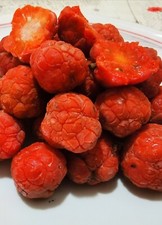 Maclura tricuspidata, Chinese