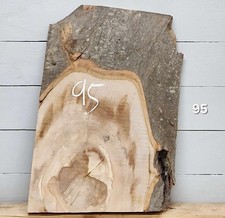 Live Edge Beech Timber - 420mm