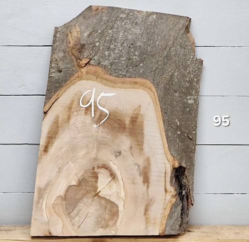 Live edge beech timber 420mm - edge,