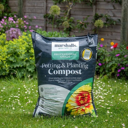 Marshalls potting planting - potting, &
