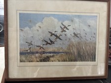 Peter Scott Print , Framed & Signed. Taking To Wing