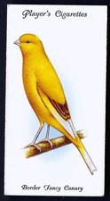 Player aviary and cage - -, birds