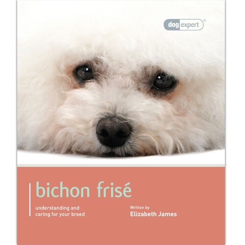Bichon frise dog expert - frise,