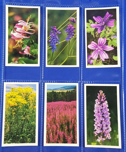 Grandee cigar cards britains - grandee,