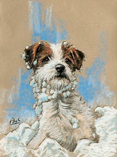 Jack Russell Terrier Dog, Christmas cards pack of 10 by Paul Doyle. C474X