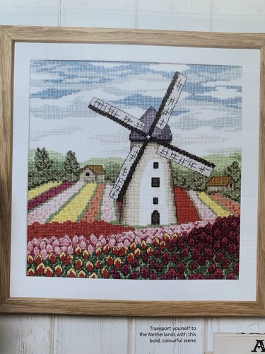 Among the tulips dutch - among,