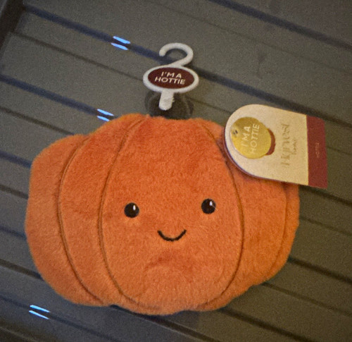 Pumpkin plush hot - plush, water