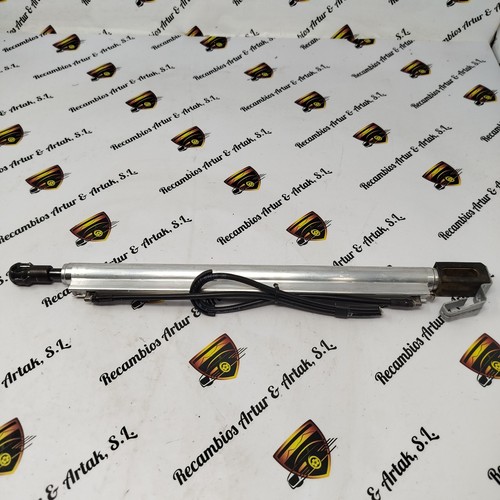 Trunk shock absorber - trunk,