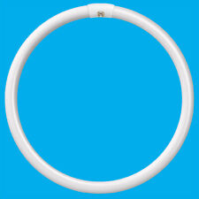 2x 40W G10Q 4 Pin T9 Round 400mm Circular Lamp Fluorescent Tube Light Bulb 4000K