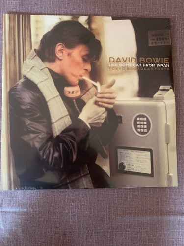 David bowie like - like, cat
