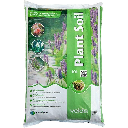 Aquatic plant soil velda - plant,