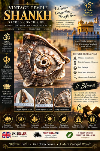 Vintage temple shankh conch - vintage,