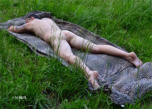Nude male art model