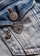 Grey Staffie Staffordshire