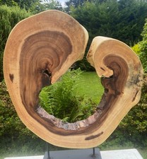 Wood Art Sculpture - Natural Rustic Mounted Tree Trunk Slice