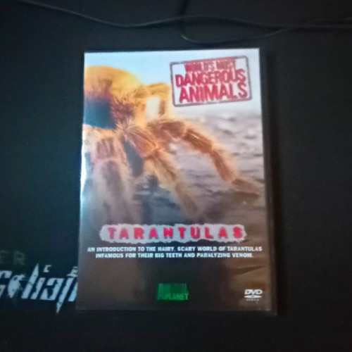 David attenborough animals - attenborough's,