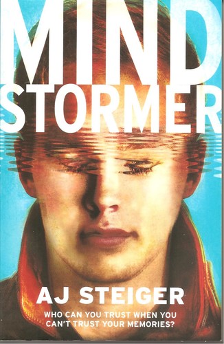 Mind stormer steiger - stormer,
