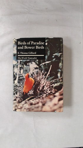 Birds paradise and bower - birds,