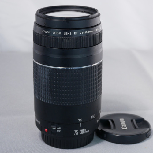Canon 300mm 5 - canon, 75-300mm