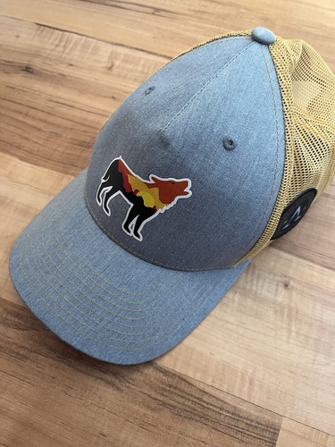 Rogue american apparel - rogue, cap