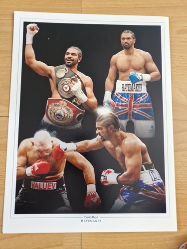 David haye photo x16 5 - photo, 12.5"x16.5"