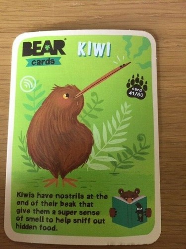 Bear animal card - yo,