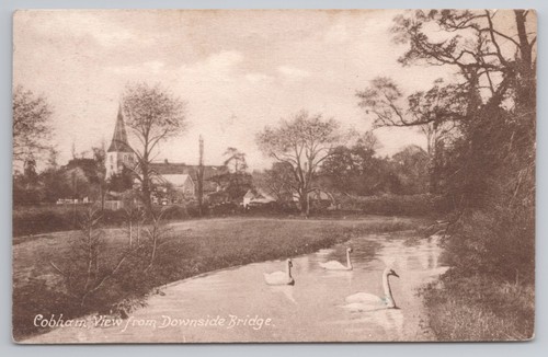 Cobham downside bridge river - downside,